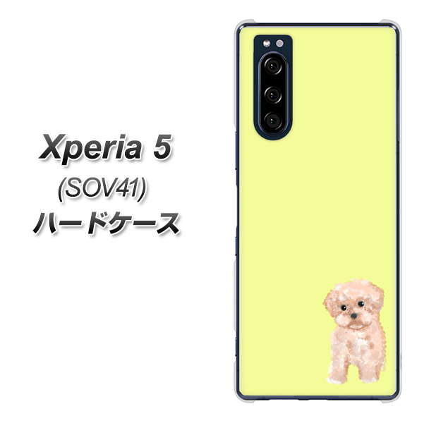 au エクスペリア5 SOV41 高画質仕上げ 背面印刷 ハードケース【YJ064 トイプードルアプリコット（イエロー）】