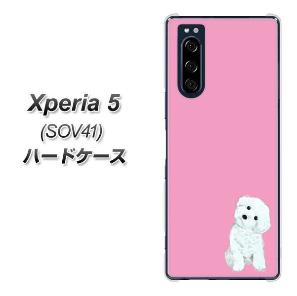 au エクスペリア5 SOV41 高画質仕上げ 背面印刷 ハードケース【YJ069 トイプードルホワイト（ピンク）】