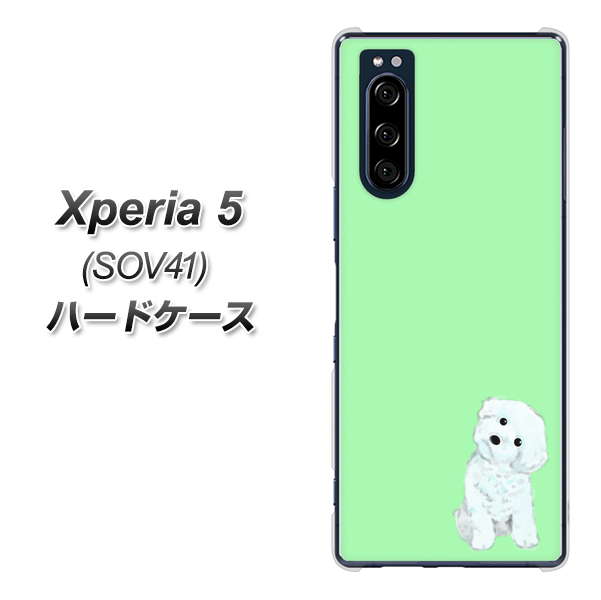 au エクスペリア5 SOV41 高画質仕上げ 背面印刷 ハードケース【YJ071 トイプードルホワイト（グリーン）】