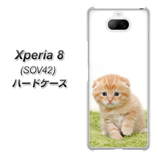 au エクスペリア8 SOV42 高画質仕上げ 背面印刷 ハードケース【VA802 ネコこっそり】