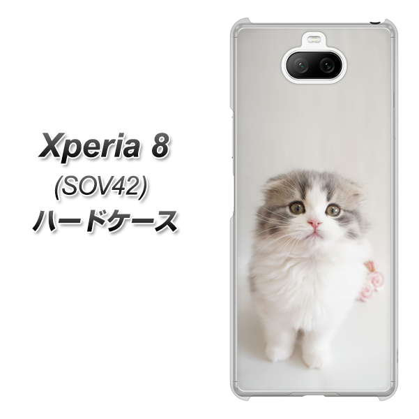 au エクスペリア8 SOV42 高画質仕上げ 背面印刷 ハードケース【VA803 まっていますネコ】