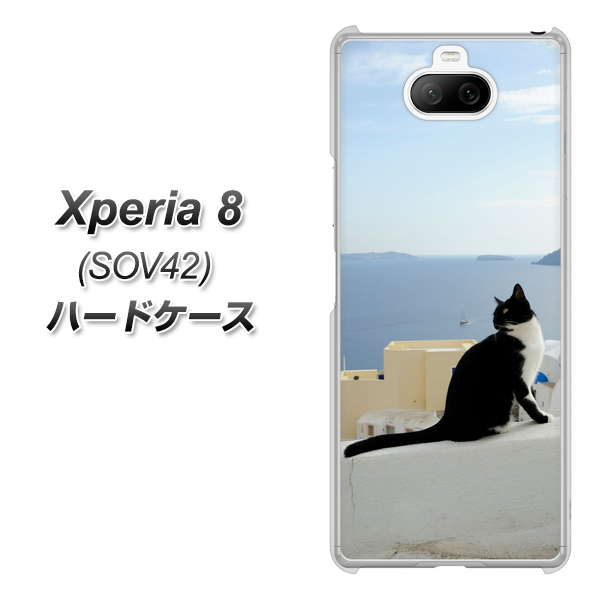 au エクスペリア8 SOV42 高画質仕上げ 背面印刷 ハードケース【VA805 ネコと地中海】