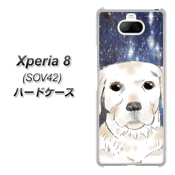 au エクスペリア8 SOV42 高画質仕上げ 背面印刷 ハードケース【YD820 ラブラドールレトリバー01】