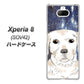 au エクスペリア8 SOV42 高画質仕上げ 背面印刷 ハードケース【YD820 ラブラドールレトリバー01】