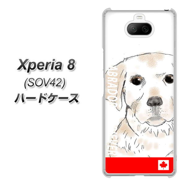 au エクスペリア8 SOV42 高画質仕上げ 背面印刷 ハードケース【YD821 ラブラドールレトリバー02】