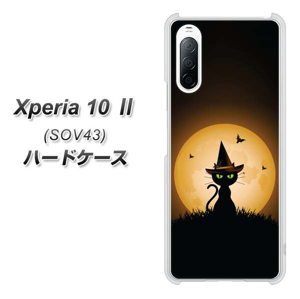 au エクスペリア10 II SOV43 高画質仕上げ 背面印刷 ハードケース【440 猫の魔法使い】