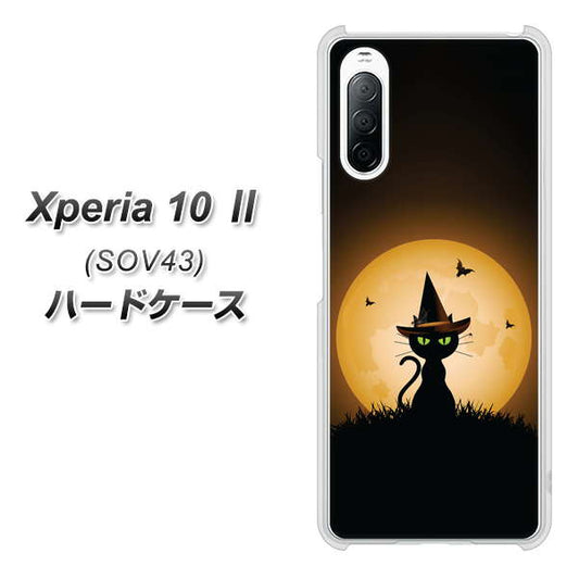 au エクスペリア10 II SOV43 高画質仕上げ 背面印刷 ハードケース【440 猫の魔法使い】