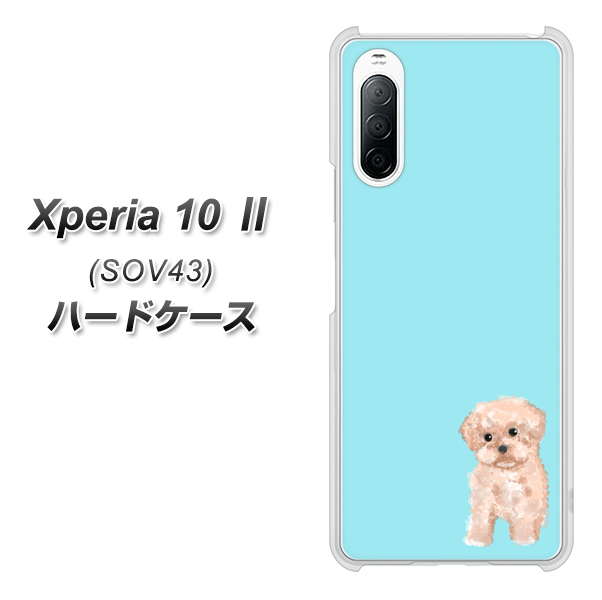 au エクスペリア10 II SOV43 高画質仕上げ 背面印刷 ハードケース【YJ062 トイプードルアプリコット（ブルー）】