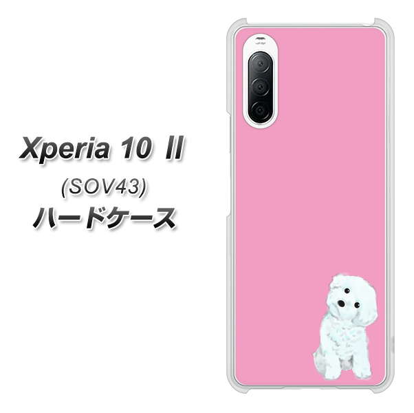 au エクスペリア10 II SOV43 高画質仕上げ 背面印刷 ハードケース【YJ069 トイプードルホワイト（ピンク）】
