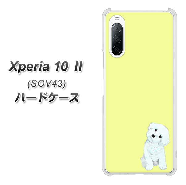 au エクスペリア10 II SOV43 高画質仕上げ 背面印刷 ハードケース【YJ072 トイプードルホワイト（イエロー）】