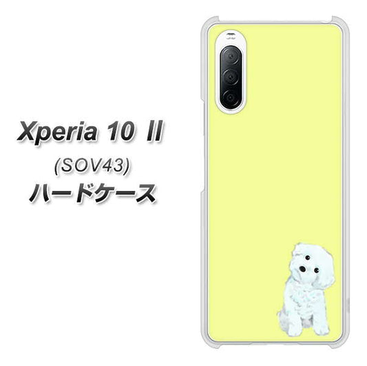 au エクスペリア10 II SOV43 高画質仕上げ 背面印刷 ハードケース【YJ072 トイプードルホワイト（イエロー）】