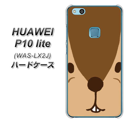 HUAWEI（ファーウェイ）P10 lite WAS-LX2J 高画質仕上げ 背面印刷 ハードケース【349 りす】