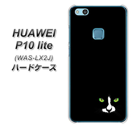 HUAWEI（ファーウェイ）P10 lite WAS-LX2J 高画質仕上げ 背面印刷 ハードケース【398 黒ネコ】