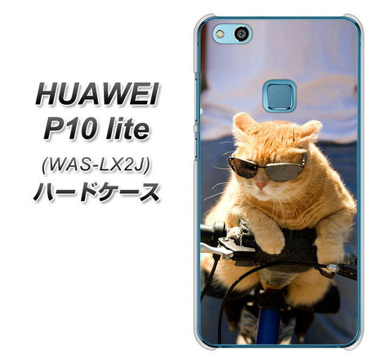 HUAWEI（ファーウェイ）P10 lite WAS-LX2J 高画質仕上げ 背面印刷 ハードケース【595 にゃんとサイクル】