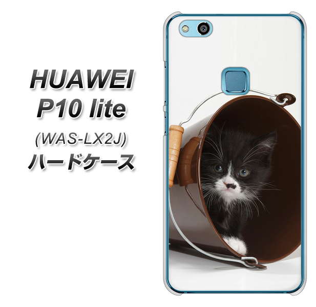 HUAWEI（ファーウェイ）P10 lite WAS-LX2J 高画質仕上げ 背面印刷 ハードケース【VA800 ネコとバケツ】