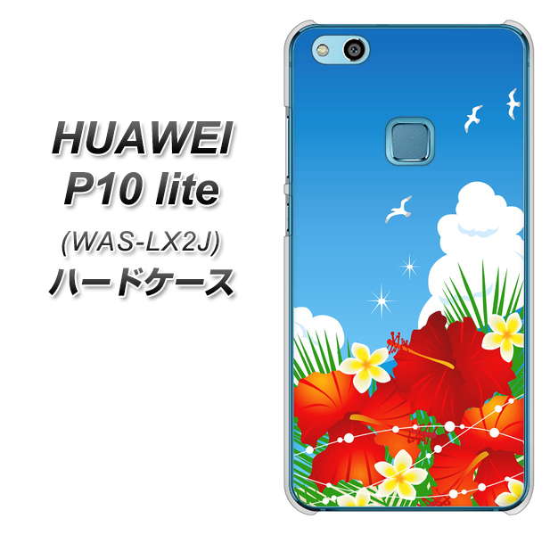 HUAWEI（ファーウェイ）P10 lite WAS-LX2J 高画質仕上げ 背面印刷 ハードケース【VA821 ハイビスカスと青空】