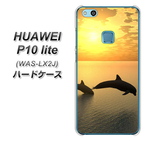 HUAWEI（ファーウェイ）P10 lite WAS-LX2J 高画質仕上げ 背面印刷 ハードケース【VA845 夕暮れのドルフィン】