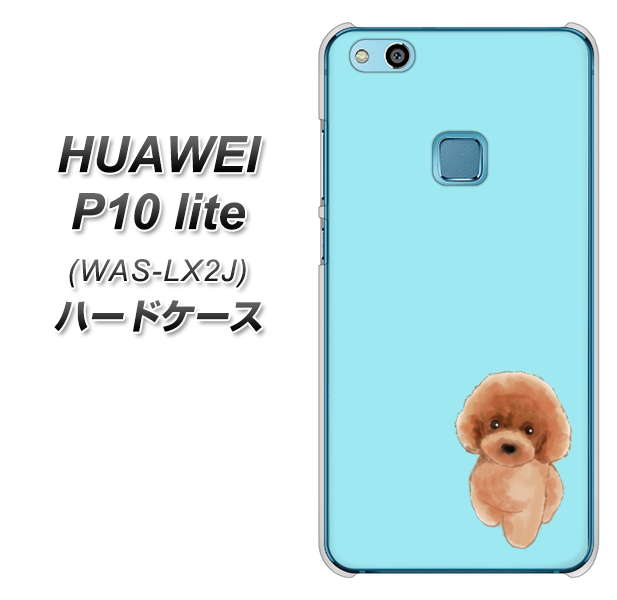 HUAWEI（ファーウェイ）P10 lite WAS-LX2J 高画質仕上げ 背面印刷 ハードケース【YJ050 トイプードルレッド（ブルー）】