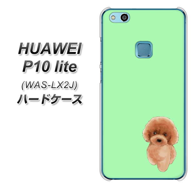 HUAWEI（ファーウェイ）P10 lite WAS-LX2J 高画質仕上げ 背面印刷 ハードケース【YJ052 トイプードルレッド（ グリーン）】