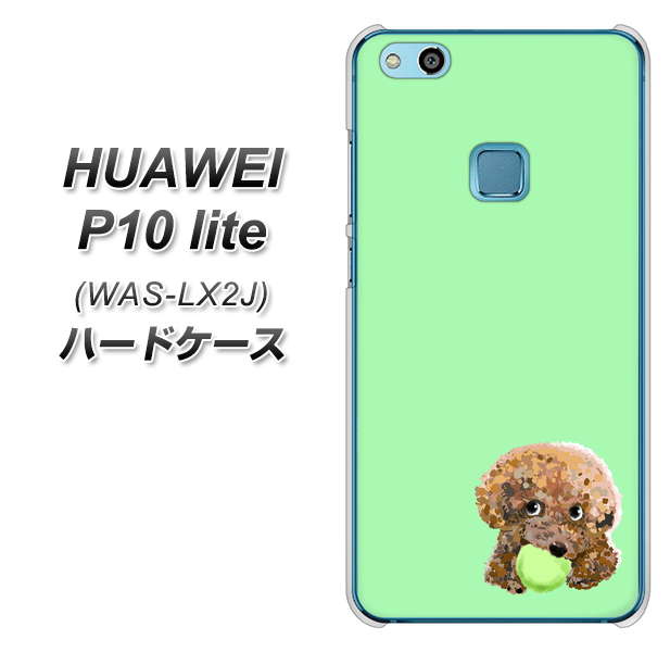 HUAWEI（ファーウェイ）P10 lite WAS-LX2J 高画質仕上げ 背面印刷 ハードケース【YJ055 トイプードル＆ボール（グリーン）】