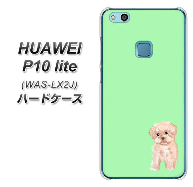 HUAWEI（ファーウェイ）P10 lite WAS-LX2J 高画質仕上げ 背面印刷 ハードケース【YJ063 トイプードルアプリコット（グリーン）】