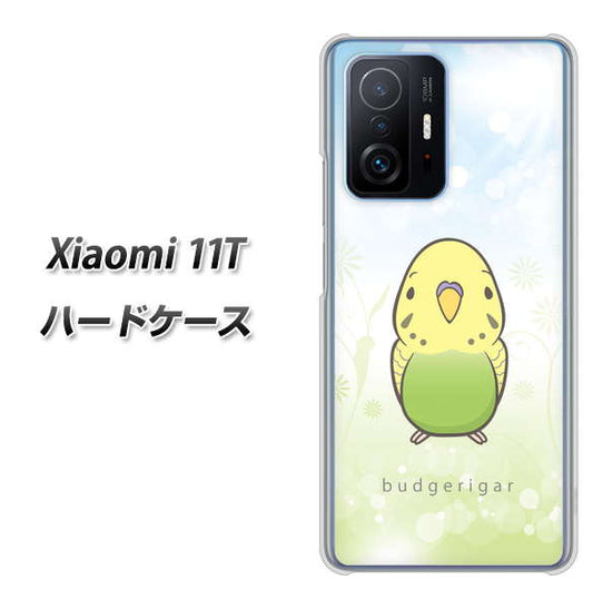 Xiaomi 11T 高画質仕上げ 背面印刷 ハードケース【SC838 セキセイインコ グリーン】