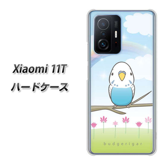 Xiaomi 11T 高画質仕上げ 背面印刷 ハードケース【SC839 セキセイインコ ブルー】