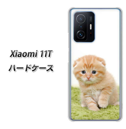 Xiaomi 11T 高画質仕上げ 背面印刷 ハードケース【VA802 ネコこっそり】