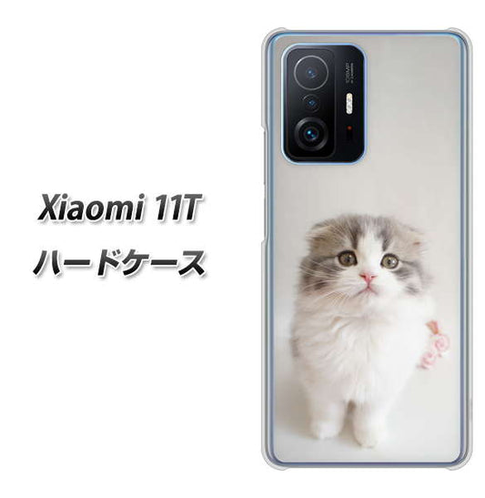 Xiaomi 11T 高画質仕上げ 背面印刷 ハードケース【VA803 まっていますネコ】