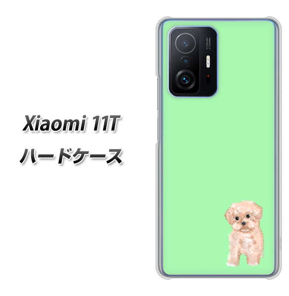 Xiaomi 11T 高画質仕上げ 背面印刷 ハードケース【YJ063 トイプードルアプリコット（グリーン）】