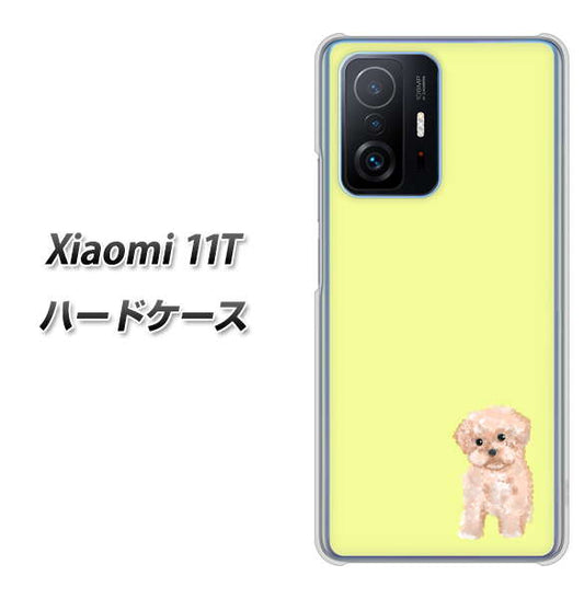 Xiaomi 11T 高画質仕上げ 背面印刷 ハードケース【YJ064 トイプードルアプリコット（イエロー）】