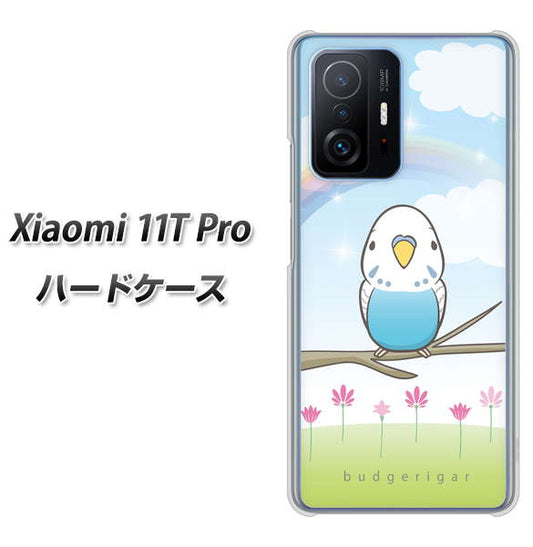 Xiaomi 11T Pro 高画質仕上げ 背面印刷 ハードケース【SC839 セキセイインコ ブルー】