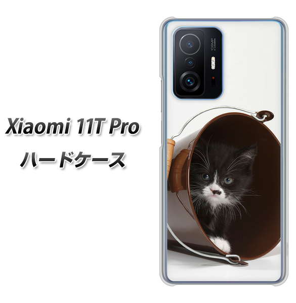 Xiaomi 11T Pro 高画質仕上げ 背面印刷 ハードケース【VA800 ネコとバケツ】