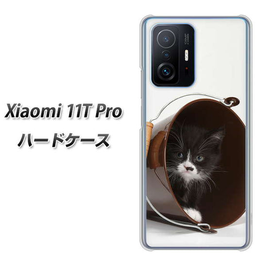 Xiaomi 11T Pro 高画質仕上げ 背面印刷 ハードケース【VA800 ネコとバケツ】
