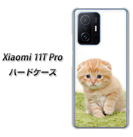 Xiaomi 11T Pro 高画質仕上げ 背面印刷 ハードケース【VA802 ネコこっそり】