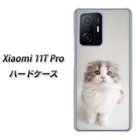 Xiaomi 11T Pro 高画質仕上げ 背面印刷 ハードケース【VA803 まっていますネコ】