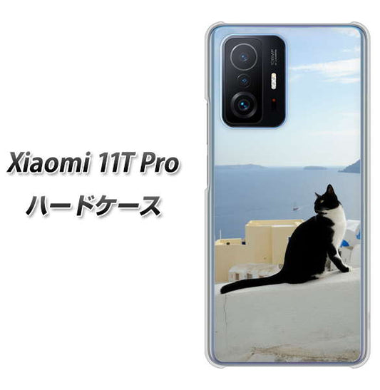 Xiaomi 11T Pro 高画質仕上げ 背面印刷 ハードケース【VA805 ネコと地中海】