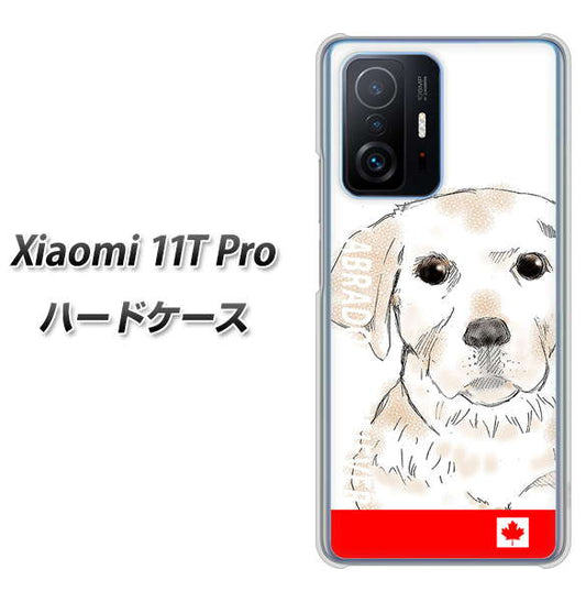 Xiaomi 11T Pro 高画質仕上げ 背面印刷 ハードケース【YD821 ラブラドールレトリバー02】