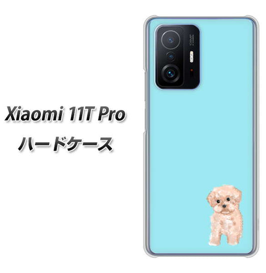Xiaomi 11T Pro 高画質仕上げ 背面印刷 ハードケース【YJ062 トイプードルアプリコット（ブルー）】