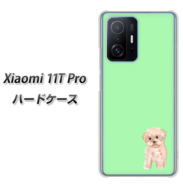 Xiaomi 11T Pro 高画質仕上げ 背面印刷 ハードケース【YJ063 トイプードルアプリコット（グリーン）】