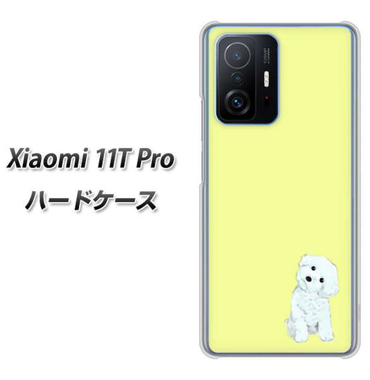 Xiaomi 11T Pro 高画質仕上げ 背面印刷 ハードケース【YJ072 トイプードルホワイト（イエロー）】