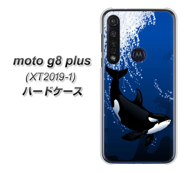 SIMフリー moto g8 plus XT2019-1 高画質仕上げ 背面印刷 ハードケース【423 シャチ】