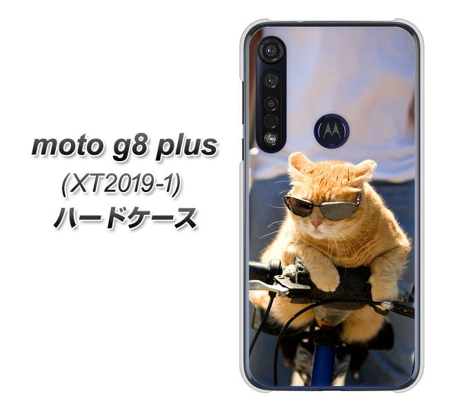 SIMフリー moto g8 plus XT2019-1 高画質仕上げ 背面印刷 ハードケース【595 にゃんとサイクル】