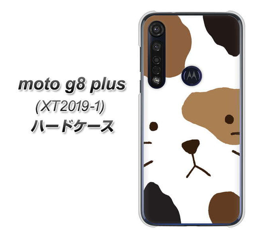 SIMフリー moto g8 plus XT2019-1 高画質仕上げ 背面印刷 ハードケース【IA801 みけ】