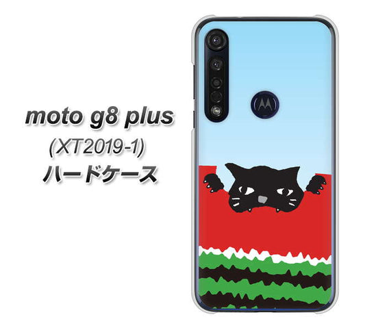 SIMフリー moto g8 plus XT2019-1 高画質仕上げ 背面印刷 ハードケース【IA815 すいかをかじるネコ(大)】