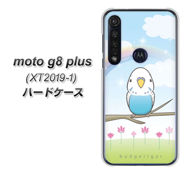 SIMフリー moto g8 plus XT2019-1 高画質仕上げ 背面印刷 ハードケース【SC839 セキセイインコ ブルー】