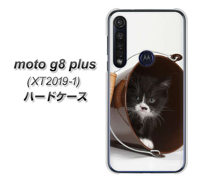 SIMフリー moto g8 plus XT2019-1 高画質仕上げ 背面印刷 ハードケース【VA800 ネコとバケツ】