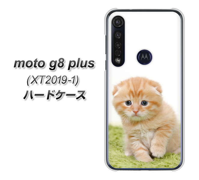 SIMフリー moto g8 plus XT2019-1 高画質仕上げ 背面印刷 ハードケース【VA802 ネコこっそり】