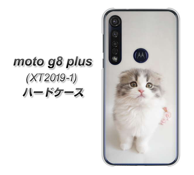 SIMフリー moto g8 plus XT2019-1 高画質仕上げ 背面印刷 ハードケース【VA803 まっていますネコ】