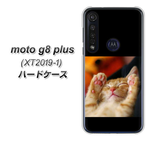 SIMフリー moto g8 plus XT2019-1 高画質仕上げ 背面印刷 ハードケース【VA804 爆睡するネコ】